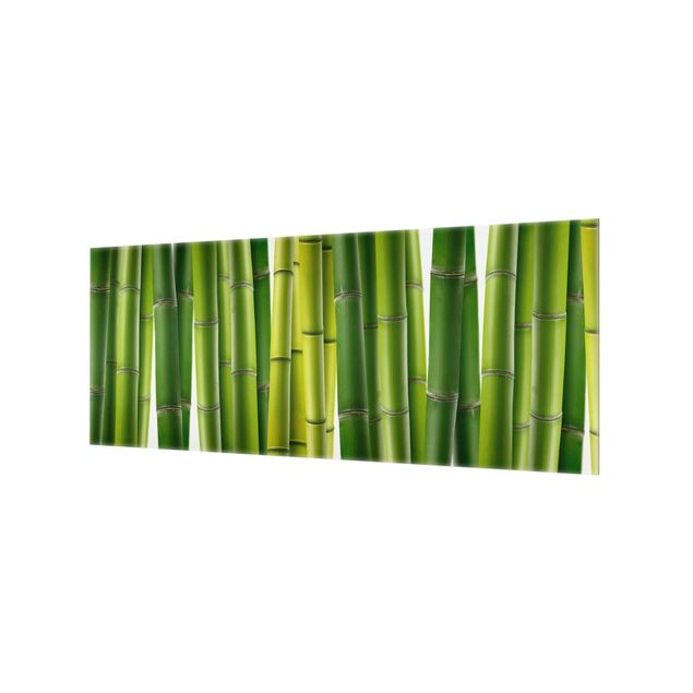 Panel szklany do kuchni - Rośliny bambusowe