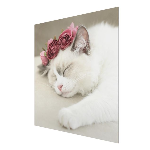 Obrazy koty Śpiący kot z różami