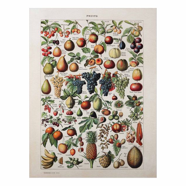 Dekoracja do kuchni Tablica edukacyjna w stylu vintage Owoce