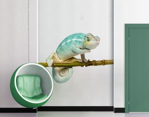 Naklejki na ścianę zwierzęta Nr 151 Niebieski kameleon