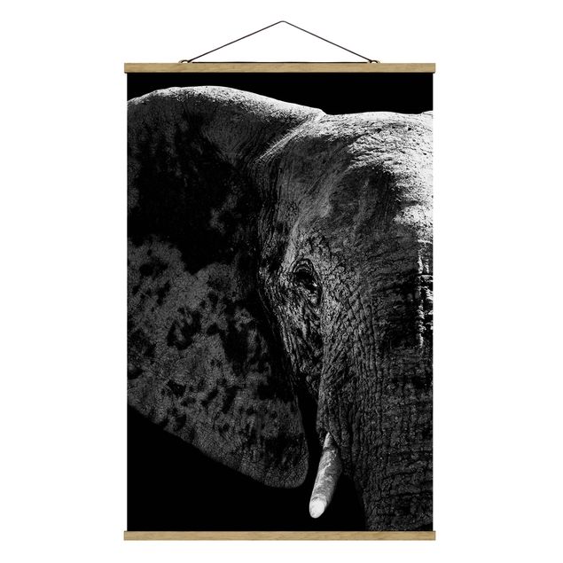 Zwierzęta obrazy Słoń afrykański czarno-biały