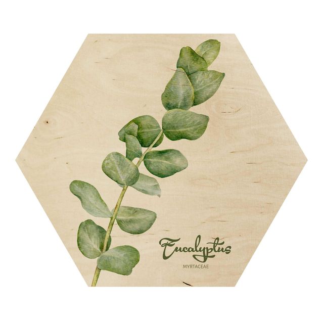 Obraz heksagonalny z drewna - Akwarela Botanika Eukaliptus
