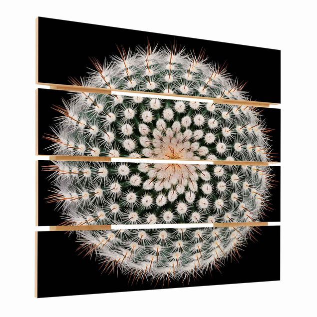 Obraz z drewna - Kwiat kaktusa