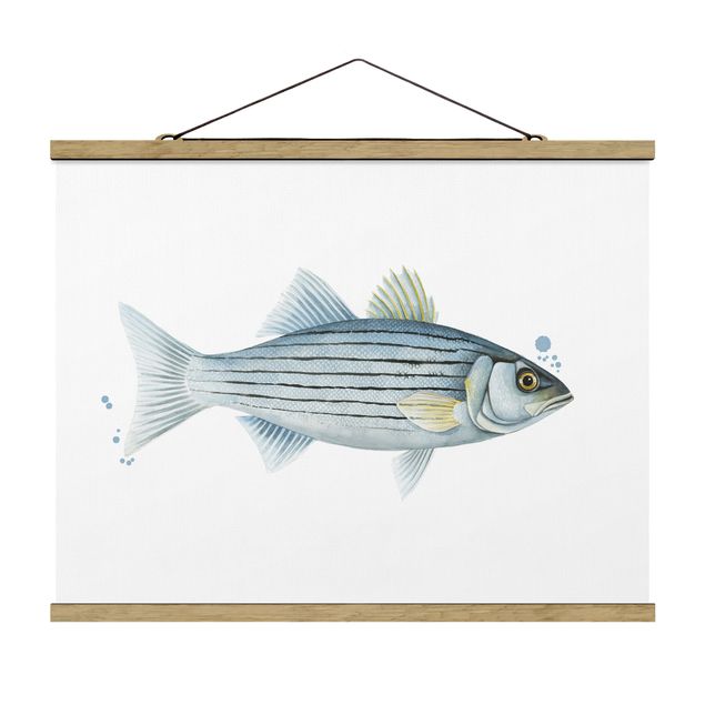 Obrazy ryby Złapanie koloru - biały okoń