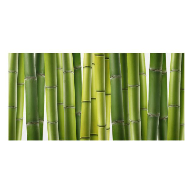 Panel szklany do kuchni - Rośliny bambusowe