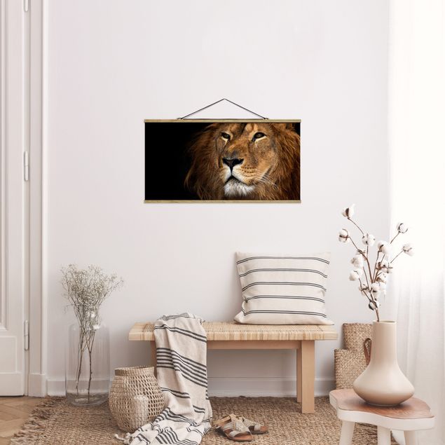 Obrazy nowoczesne Widok lwa