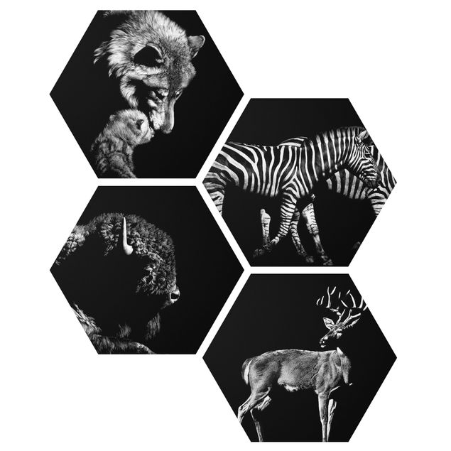 Obraz heksagonalny z Forex 4-częściowy - Dzikie zwierzęta przed czarnym zestawem II