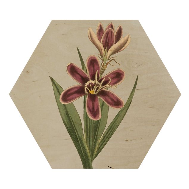 Obraz heksagonalny z drewna - Biżuteria z kwiatów II