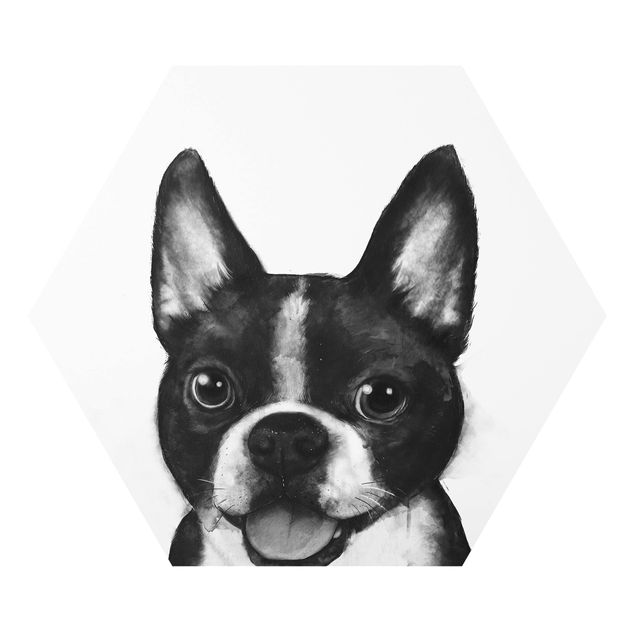Pies obraz Ilustracja pies Boston czarno-biały Painting