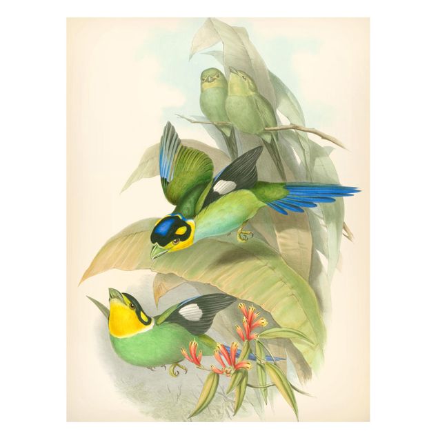 Obrazy do salonu Ilustracja w stylu vintage - ptaki tropikalne