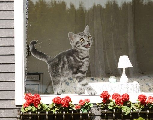 Folia okienna dla dzieci Kitty