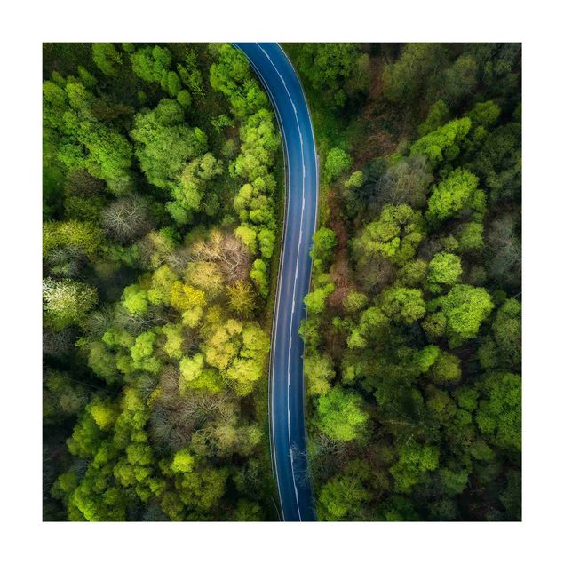 dywan leśny Zdjęcie lotnicze - Droga asfaltowa w lesie