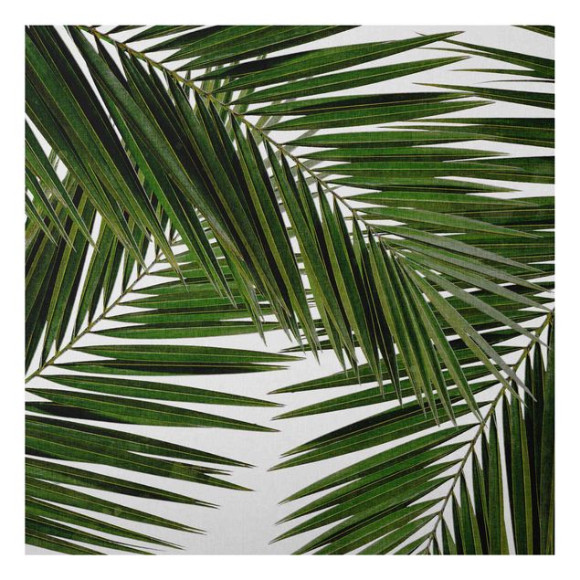Obrazy do salonu nowoczesne Widok przez zielone liście palmy