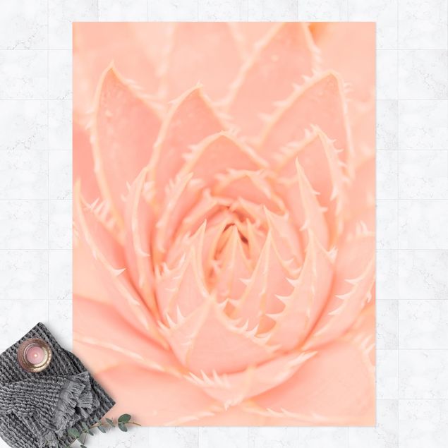 dywan zewnętrzny Agawa magiczna o różowych kwiatach