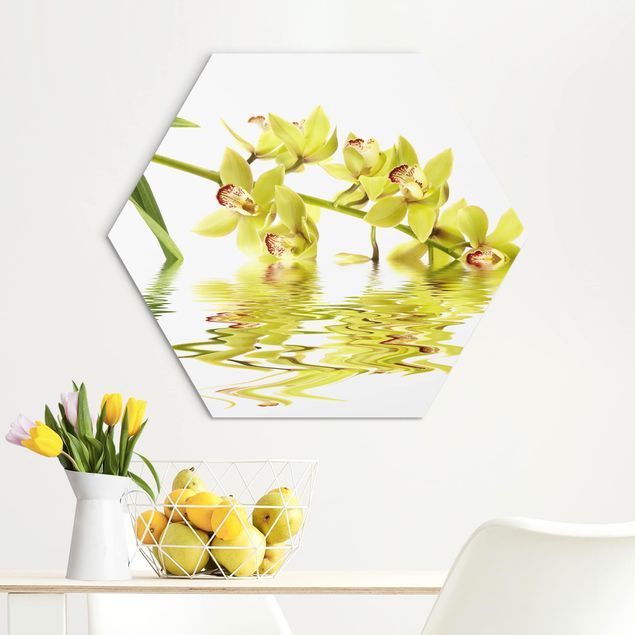 Obraz heksagonalny z Alu-Dibond - Eleganckie wody orchidei