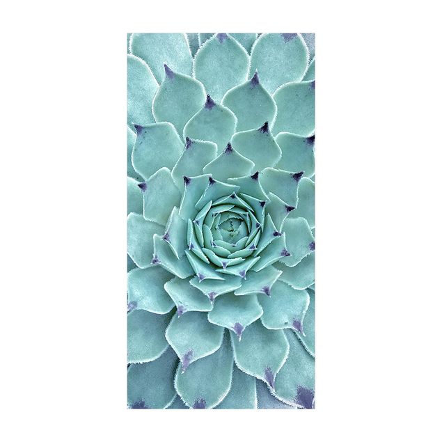 dywany nowoczesne Kaktus Agawa
