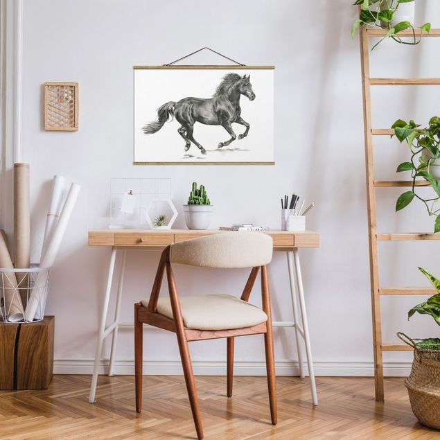Obrazy nowoczesne Studium dzikiego konia - ogier
