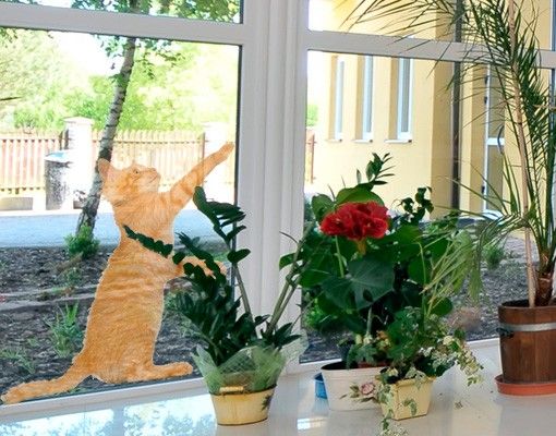 Folia okienna dla dzieci Kociak z kotkiem