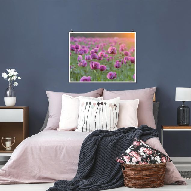 Obrazy do salonu Fioletowa łąka z makiem opium wiosną