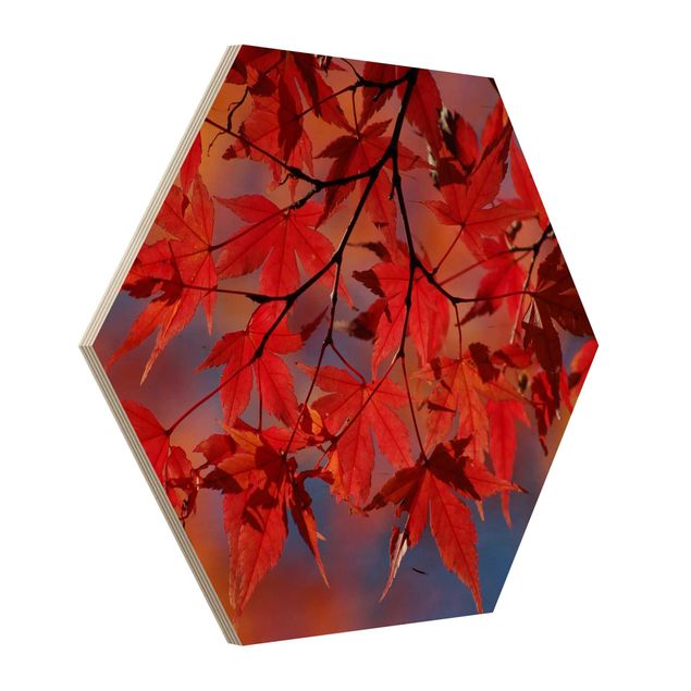 Obraz heksagonalny z drewna - Klon czerwony