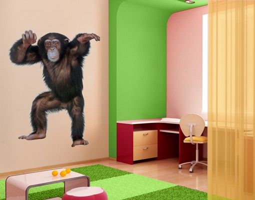 Naklejki na ścianę dżungla Nr 291 Przyjemna małpka