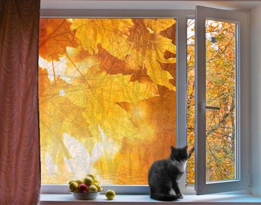 Folia okienna do sypialni Jesień