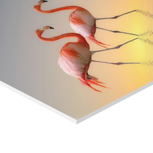 Obraz heksagonalny Miłość flaminga