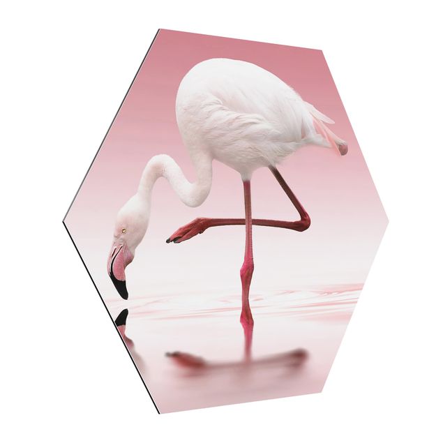 Obrazy ze zwierzętami Taniec flamingów