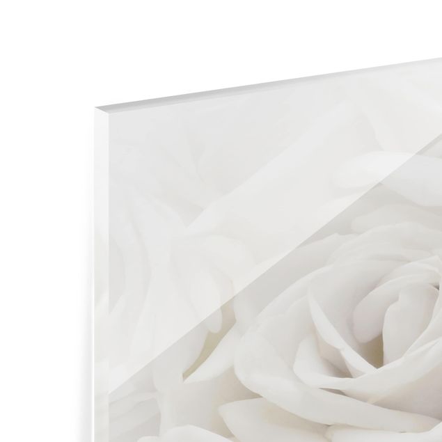 Panel szklany do kuchni - Białe róże