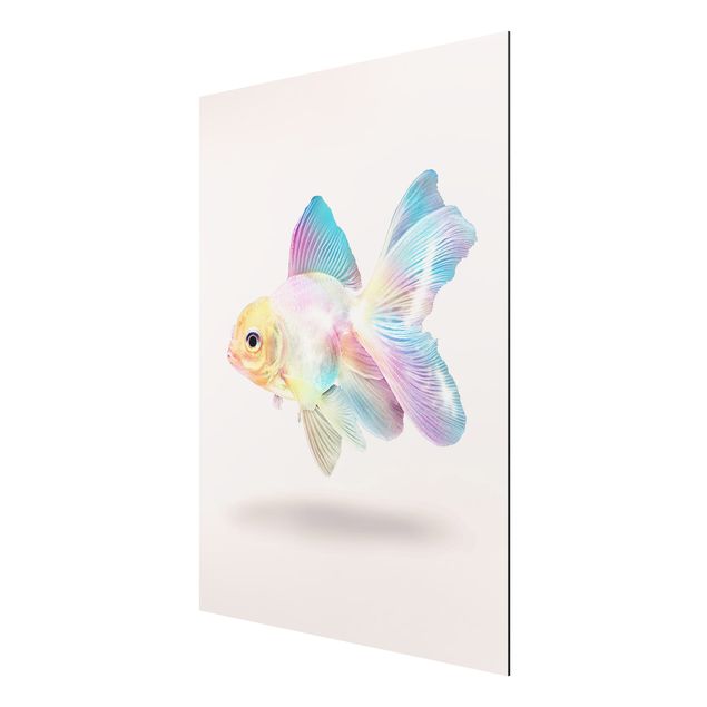 Obrazy nowoczesny Ryby w pastelach
