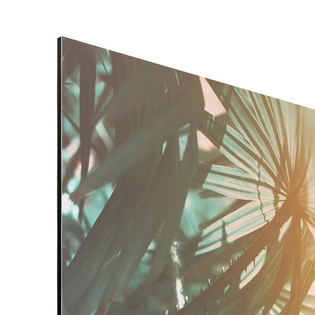 Obraz turkusowy Rośliny tropikalne Palmy o zachodzie słońca