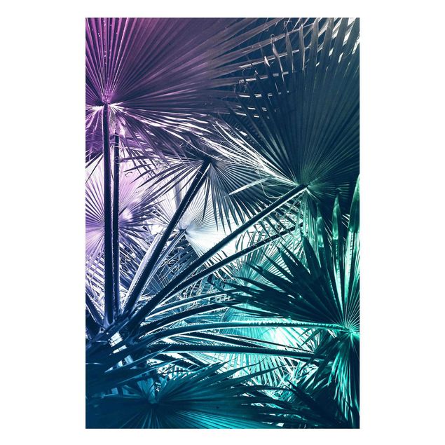Obrazy do salonu Tropical Plants Palm Leaf in Turquoise III