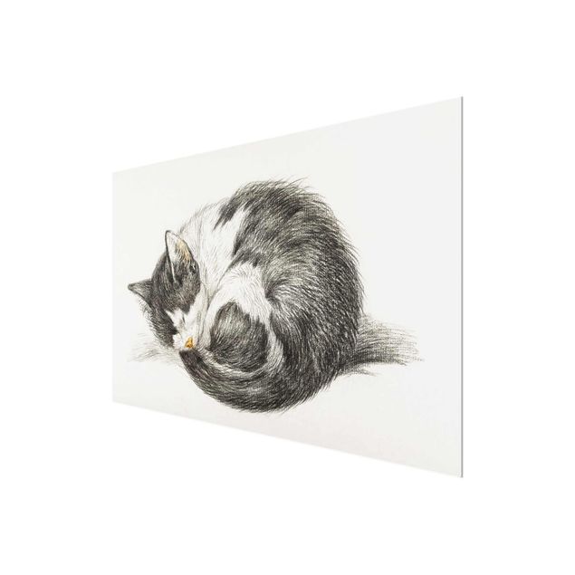 Zwierzęta obrazy Zabytkowy rysunek kot II