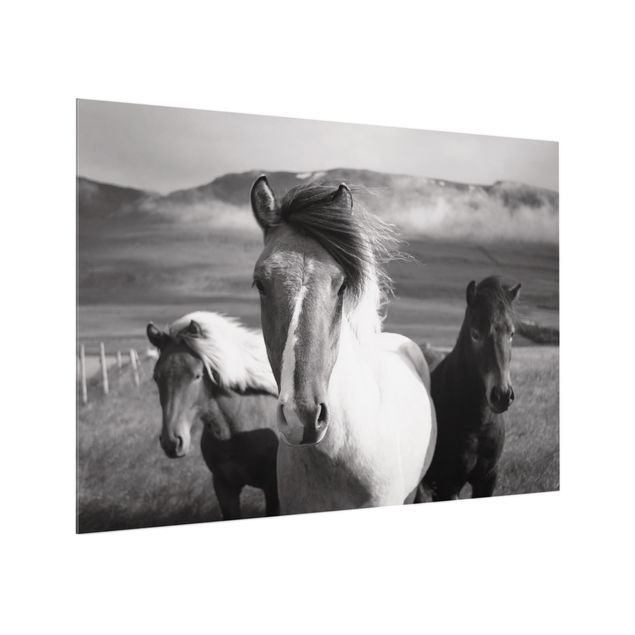 Panel szklany do kuchni - Czarne i białe dzikie konie