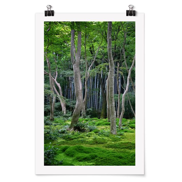 Obraz drzewo Las japoński