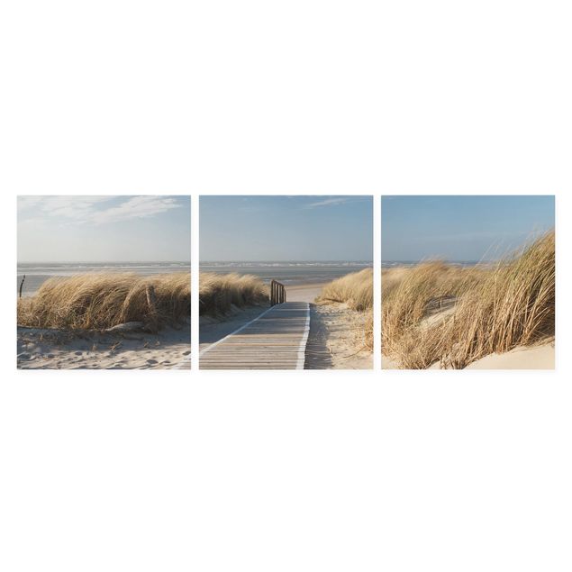 Obraz morze plaża Plaża nad Morzem Bałtyckim