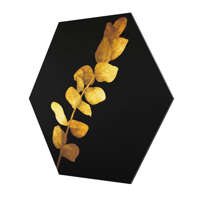 Obraz heksagonalny Złoto - Eukaliptus na czarnym tle