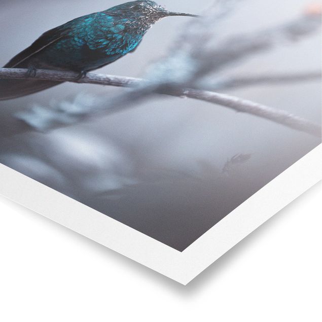 Obrazy zwierzęta Koliber w zimie