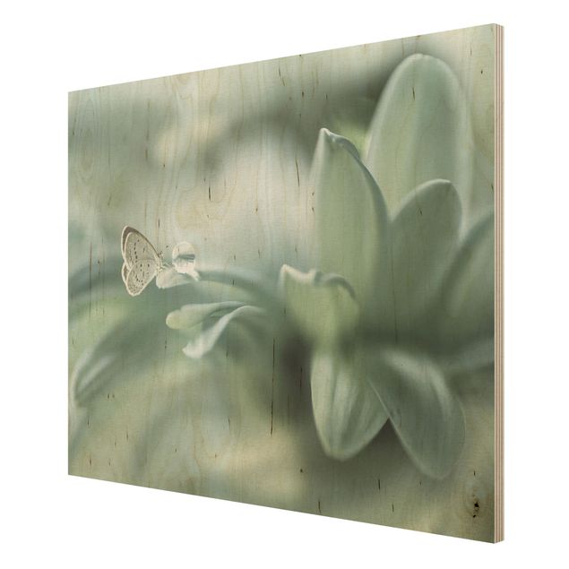 Obrazy z drewna Motyl i krople rosy w pastelowej zieleni