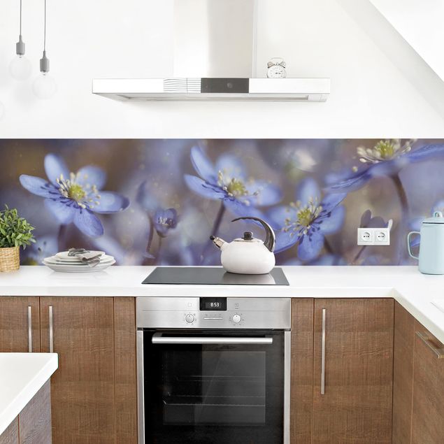 Panele szklane do kuchni Anemony w kolorze niebieskim