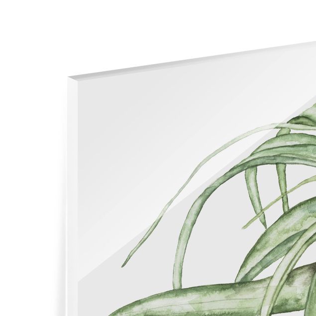 Panel szklany do kuchni - Akwarela z roślinami powietrznymi I