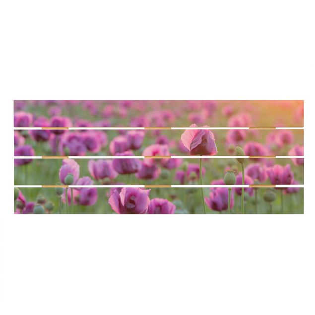 Obrazy na drewnie Fioletowa łąka z makiem opium wiosną