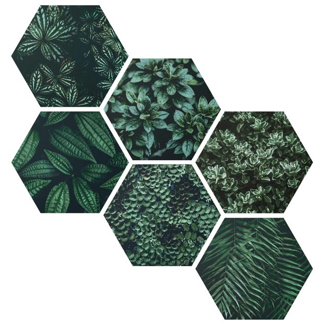 Zielony obraz Zestaw zielonych liści II