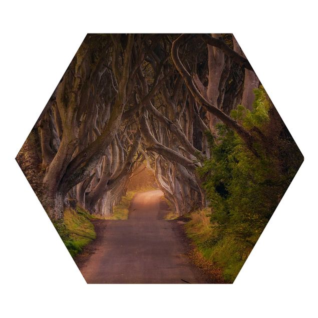 Obraz heksagonalny z drewna - Tunel z drzew
