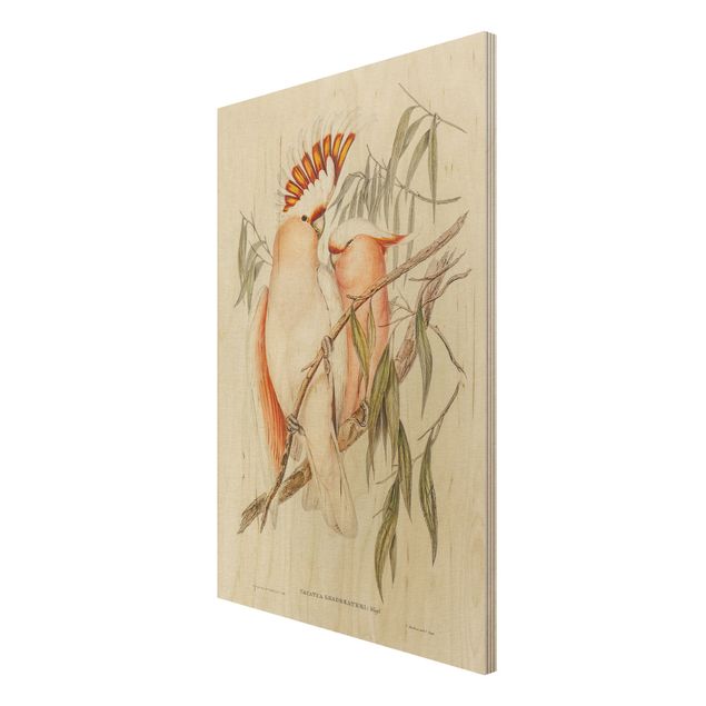 Obrazy drewniane Ilustracja w stylu vintage różowy kakadu