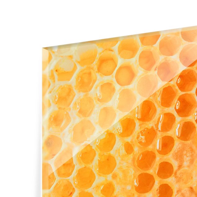 Panel szklany do kuchni - Pszczoła miodna