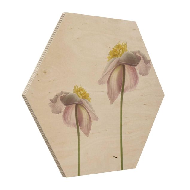 Obraz heksagonalny z drewna - Kwiaty zawilca różowego