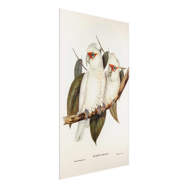Nowoczesne obrazy do salonu Ilustracja w stylu vintage Biały kakadu