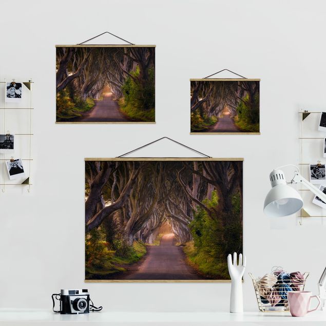 Obrazy 3d Tunel z drzew