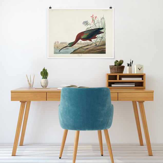 Obrazy do salonu nowoczesne Tablica edukacyjna w stylu vintage Brązowy ibis